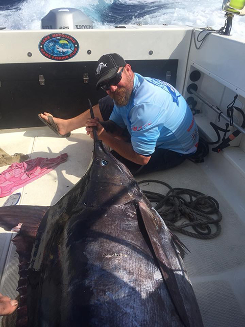 ANGLER: Gavin Kelly SPECIES: Blue Marlin LURE: JB Big Dingo.